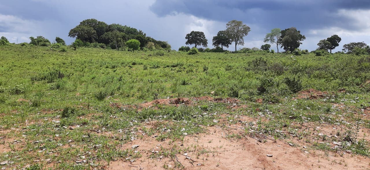 340 Acre Agricultural land Monaragala
