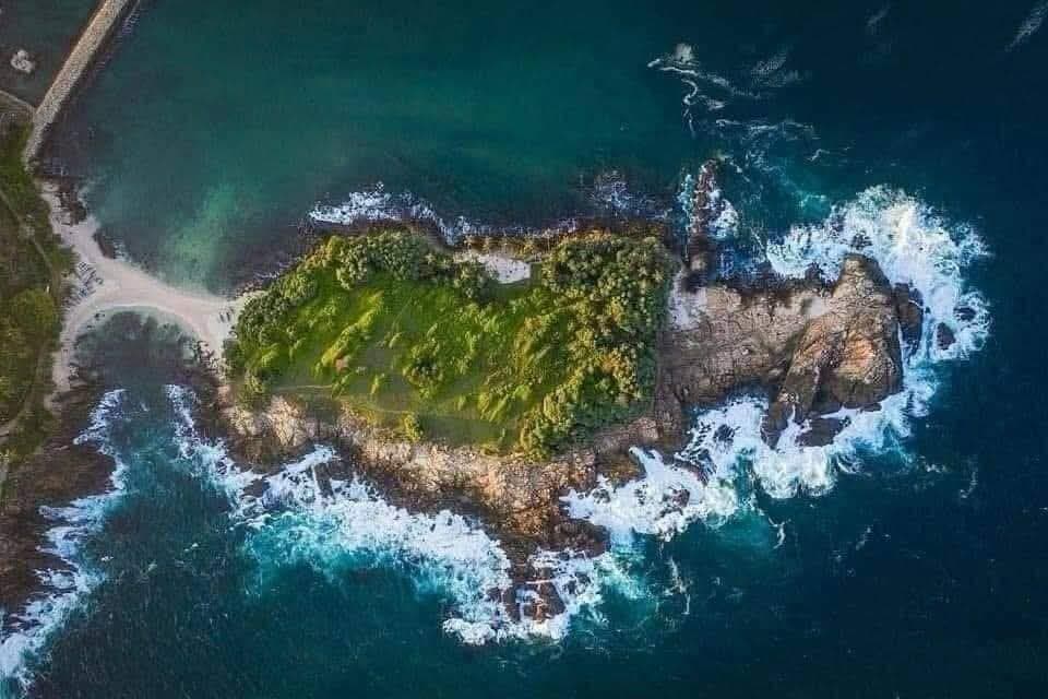 Celoyn Magical Island